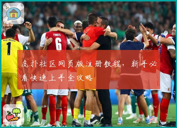 虎扑社区网页版注册教程，新手必看快速上手全攻略