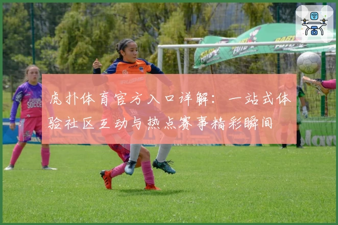 虎扑体育官方入口详解：一站式体验社区互动与热点赛事精彩瞬间