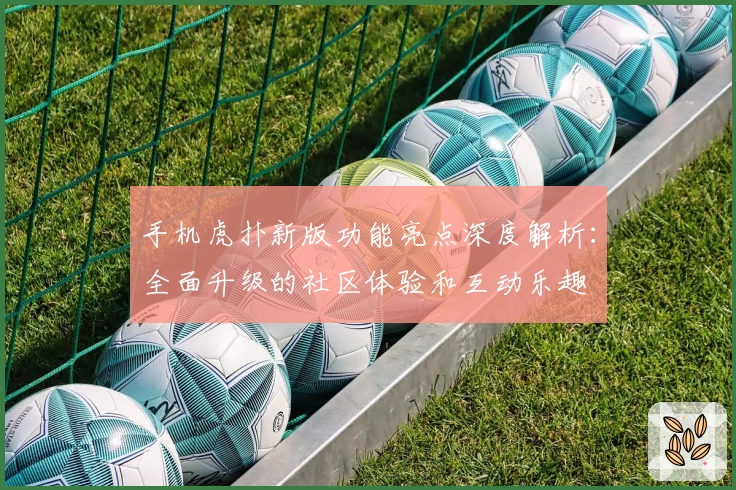 手机虎扑新版功能亮点深度解析：全面升级的社区体验和互动乐趣