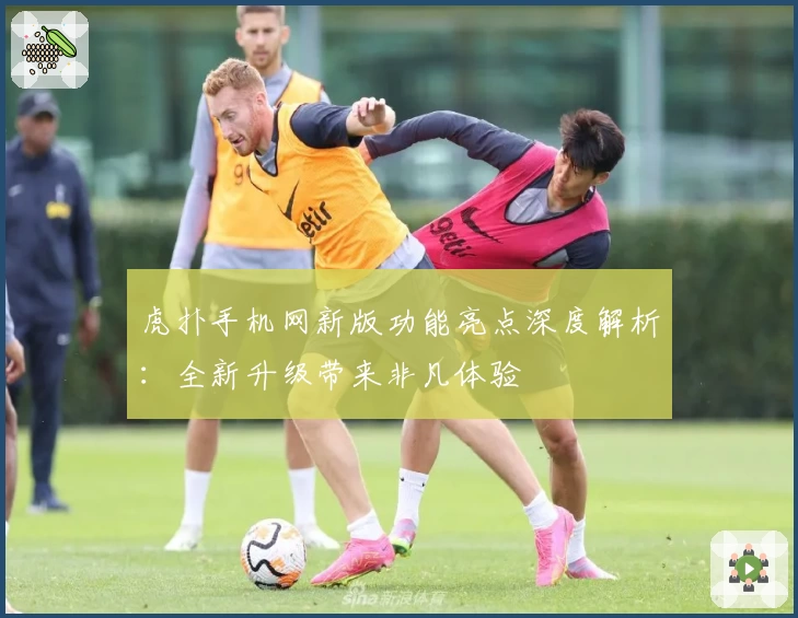 虎扑手机网新版功能亮点深度解析：全新升级带来非凡体验