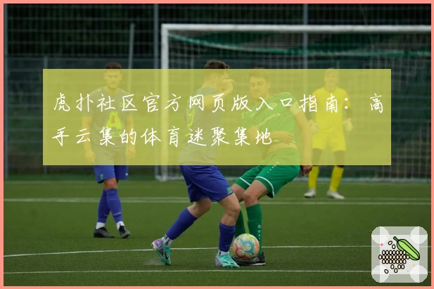 虎扑社区官方网页版入口指南：高手云集的体育迷聚集地